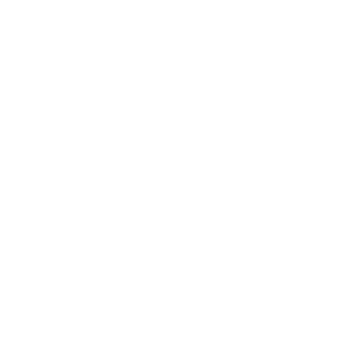 Logo ESSKA